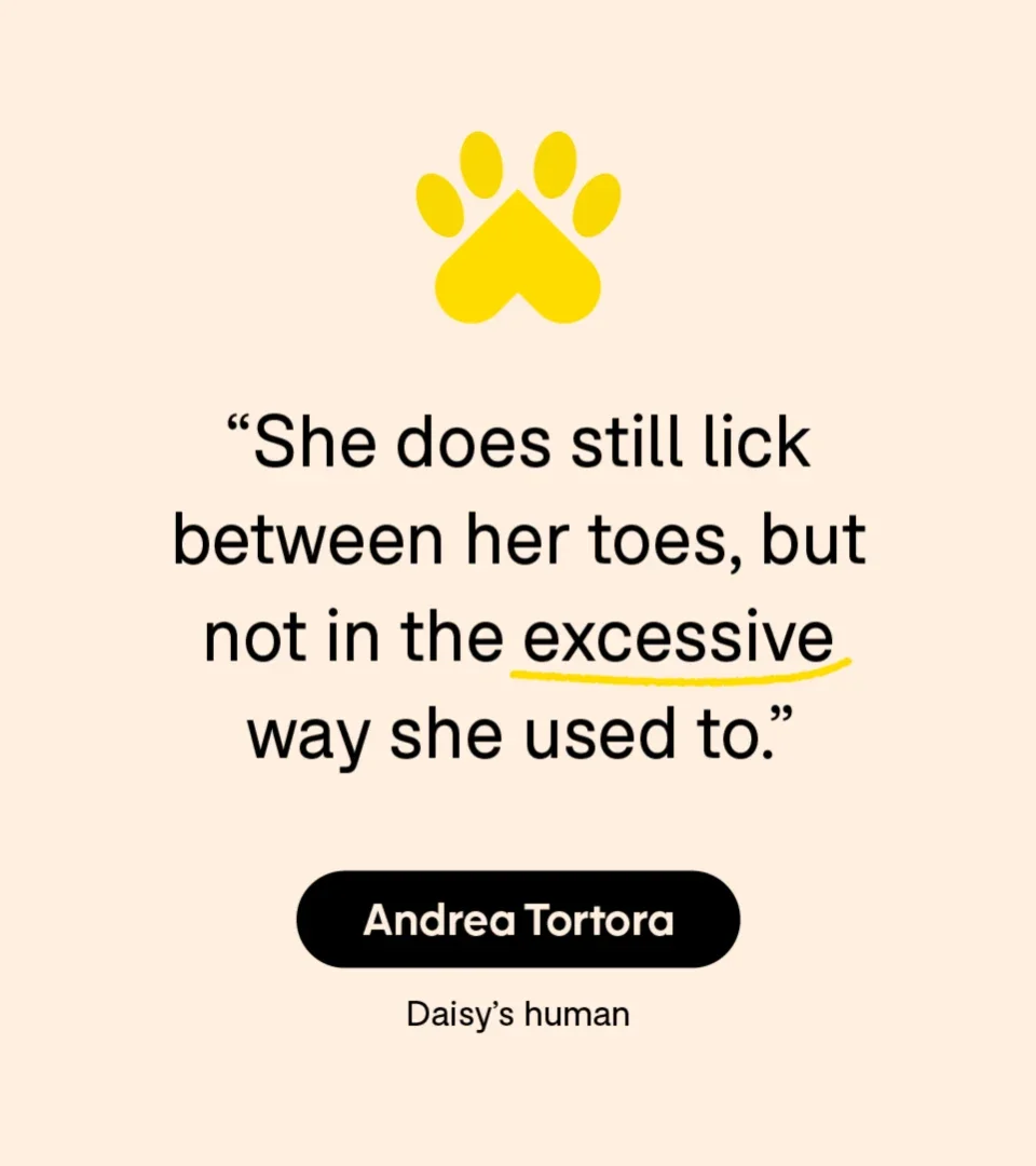 Health: Patient experiences: pet care allergies quote 1