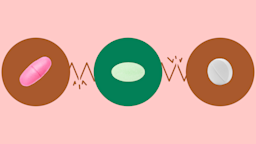 The image shows a light red background with three circles across the frame. In the center, on a green circle, is a small oval-ish light green pill. On the left, on a red circle, is an oblong pink pill. On the right, on a red circle, is a white round pill. 
GoodRx Health