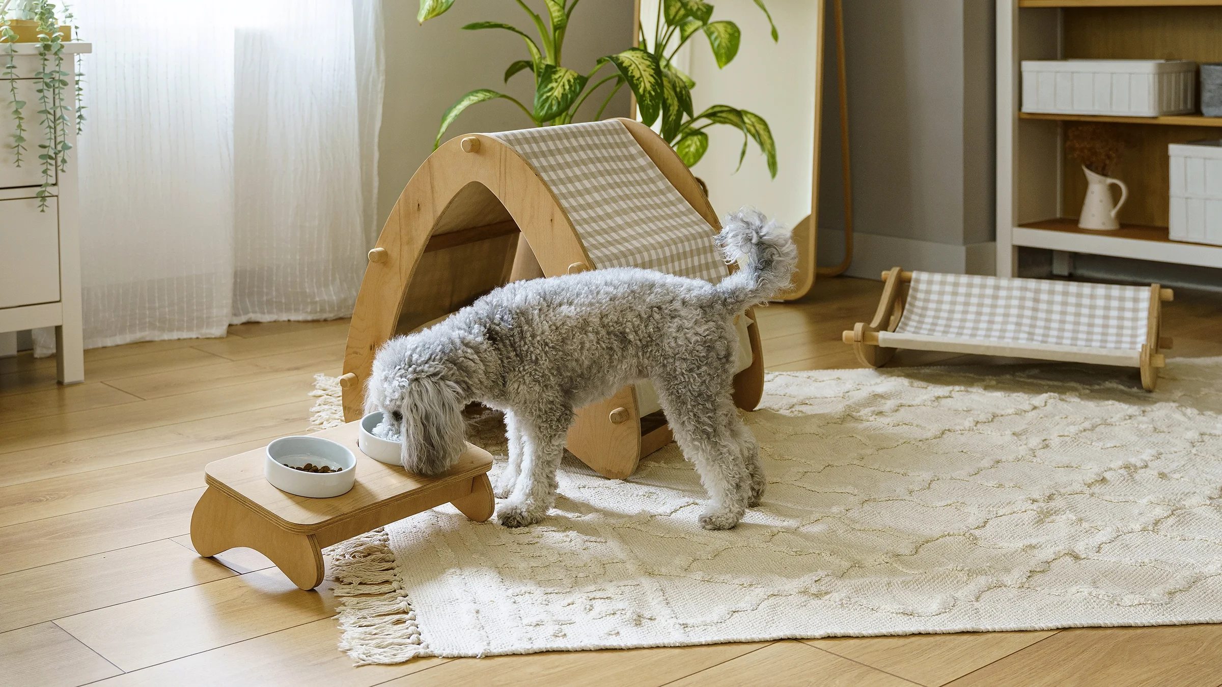 A poodle eats from a bowl set on a wooden stand.
