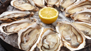 diet-nutrition: close up plate of oysters GettyImages-1307516357