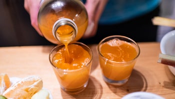 Health: Diet & Nutrition: pouring kombucha 1197803855