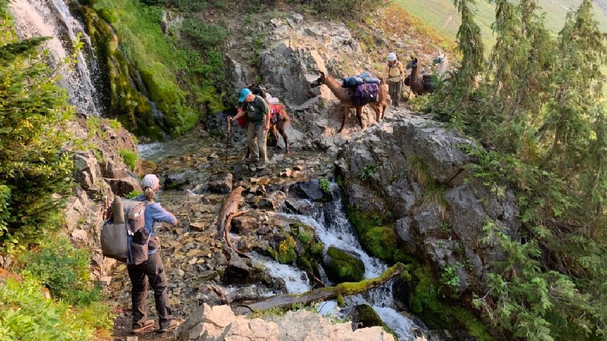 Bill Meyer hiking with a group of hikers with Parkinson's disease.