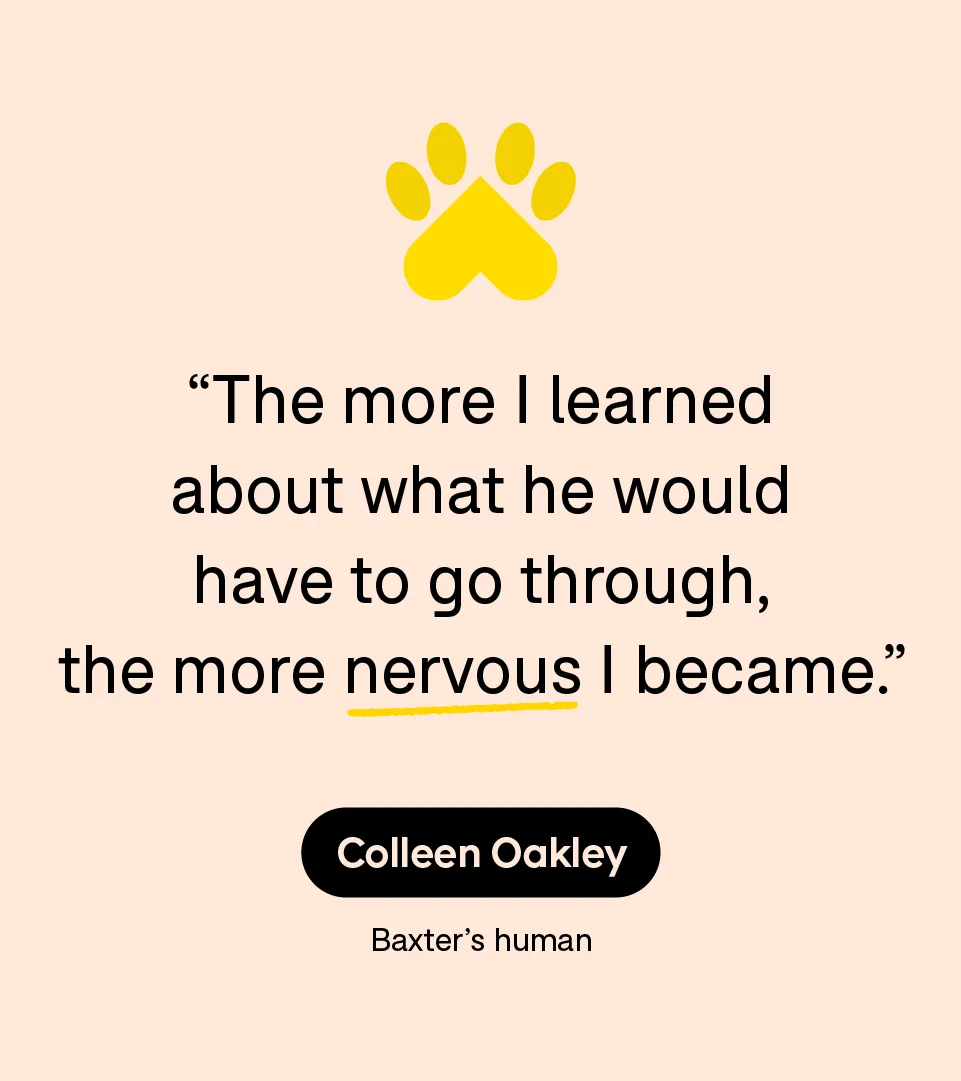“The more I learned about what he would have to go through, the more nervous I became.” — Colleen Oakley