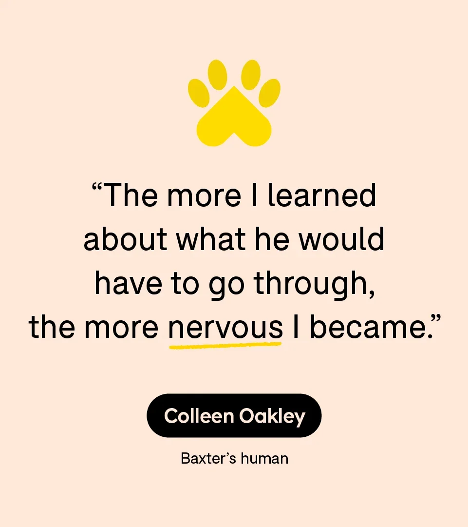 “The more I learned about what he would have to go through, the more nervous I became.” — Colleen Oakley