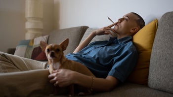 Cannabis: relaxed person smoking marijuana at home 1471397377