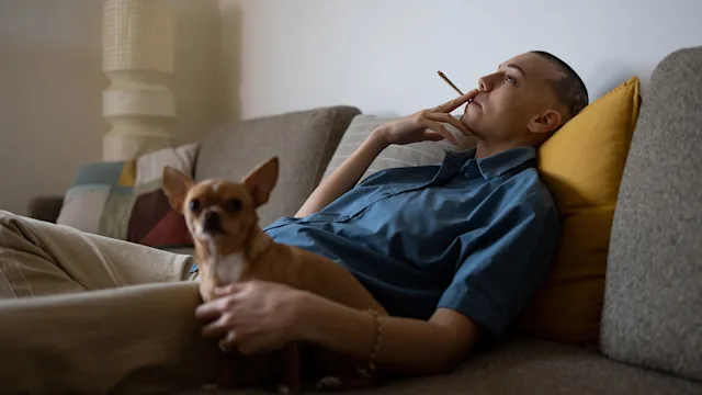 Cannabis: relaxed person smoking marijuana at home 1471397377