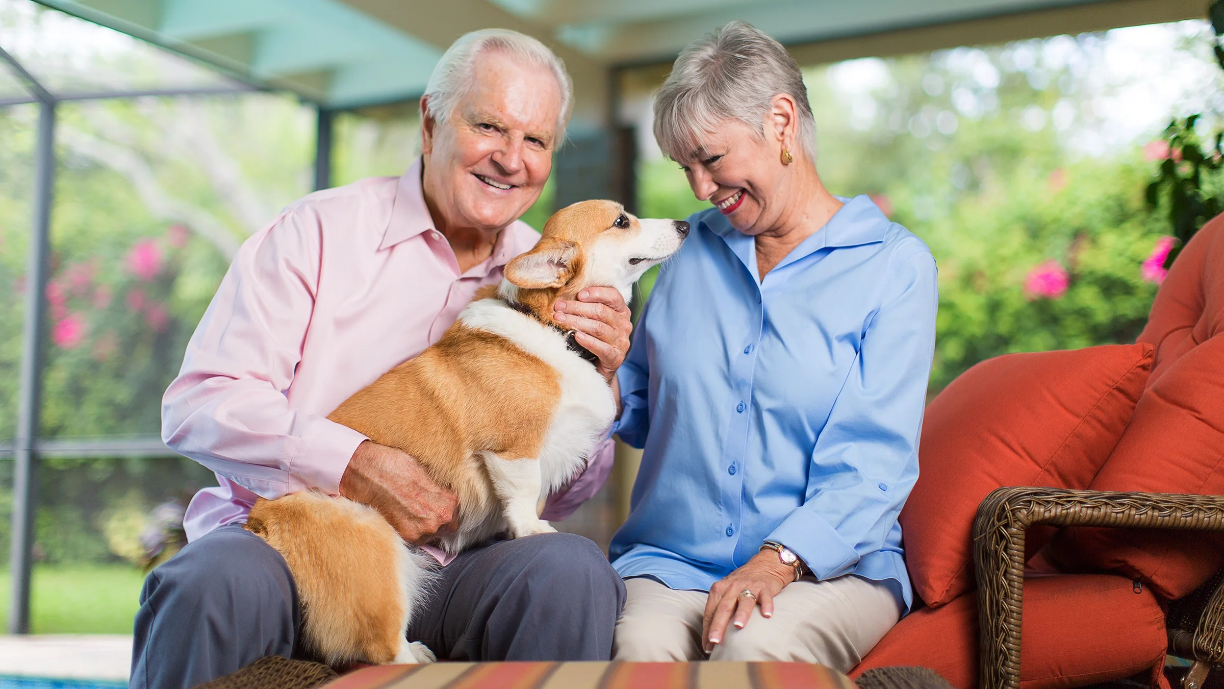 A senior couple poses with a Welsh corgi dog.