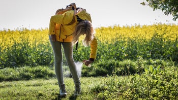 Dermatology: Tick bite prevention: bug spray over clothes 1224636438
