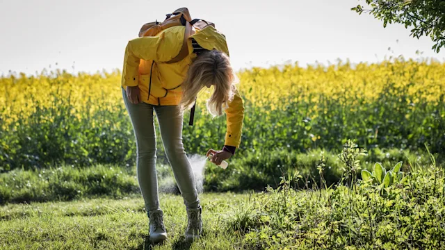 Dermatology: Tick bite prevention: bug spray over clothes 1224636438