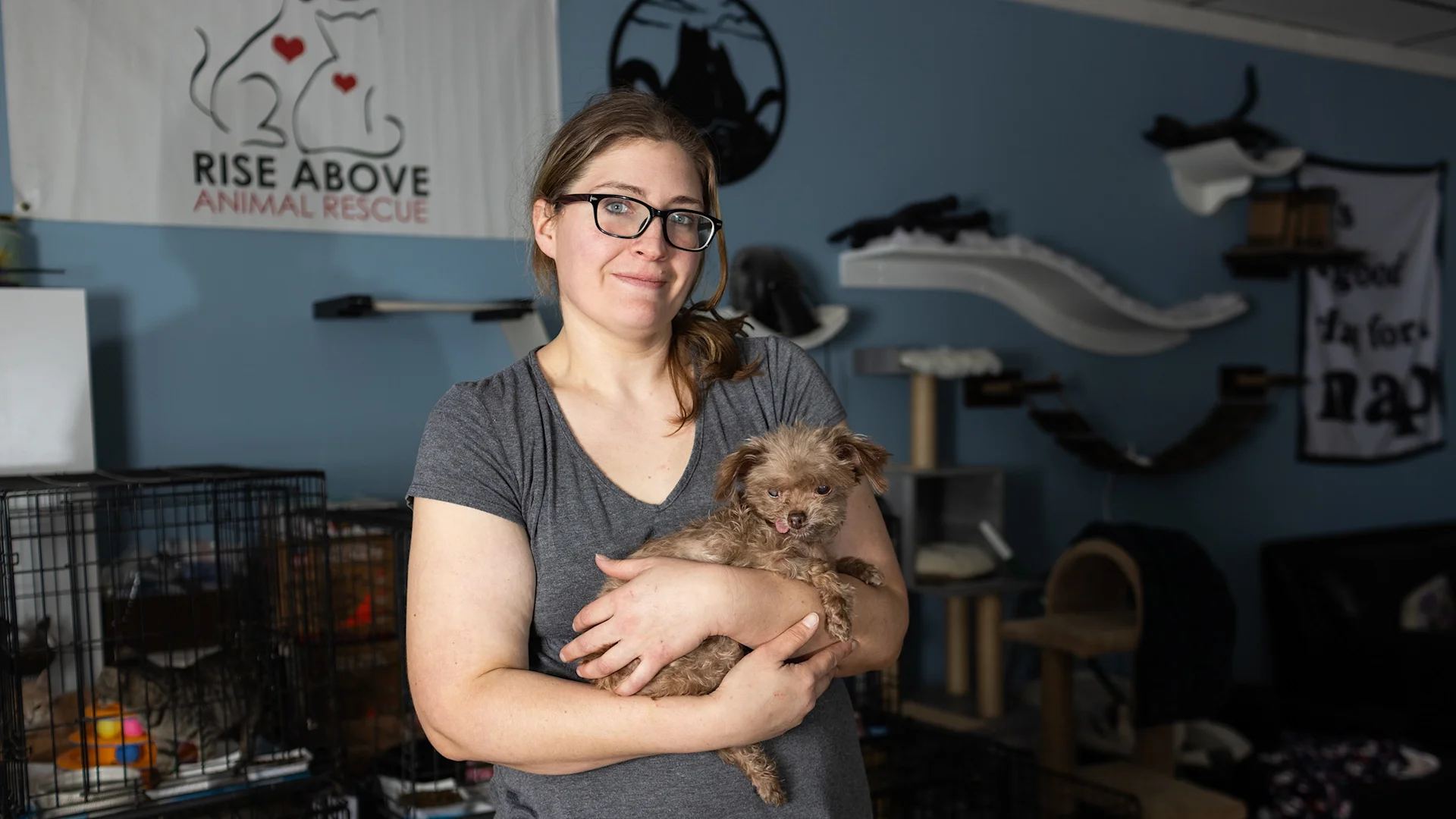 Can You Afford to Adopt a SpecialNeeds Pet? Here Are a Pet Rescuer’s