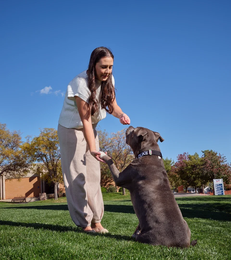 Alisha Benson is pictured training her pit bull therapy dog, Duke.