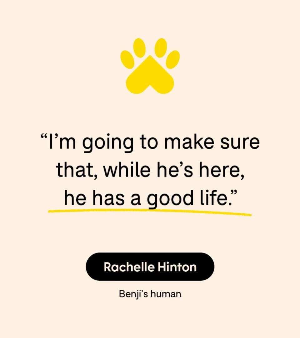 Health: Patient experiences: pet care seizures quote 1