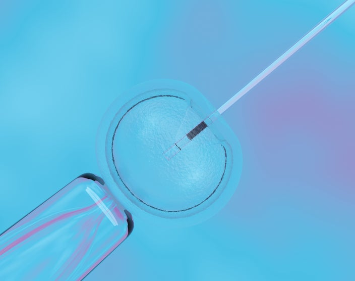 Microscope view of in vitro fertilization, blue and purple colors in the background.