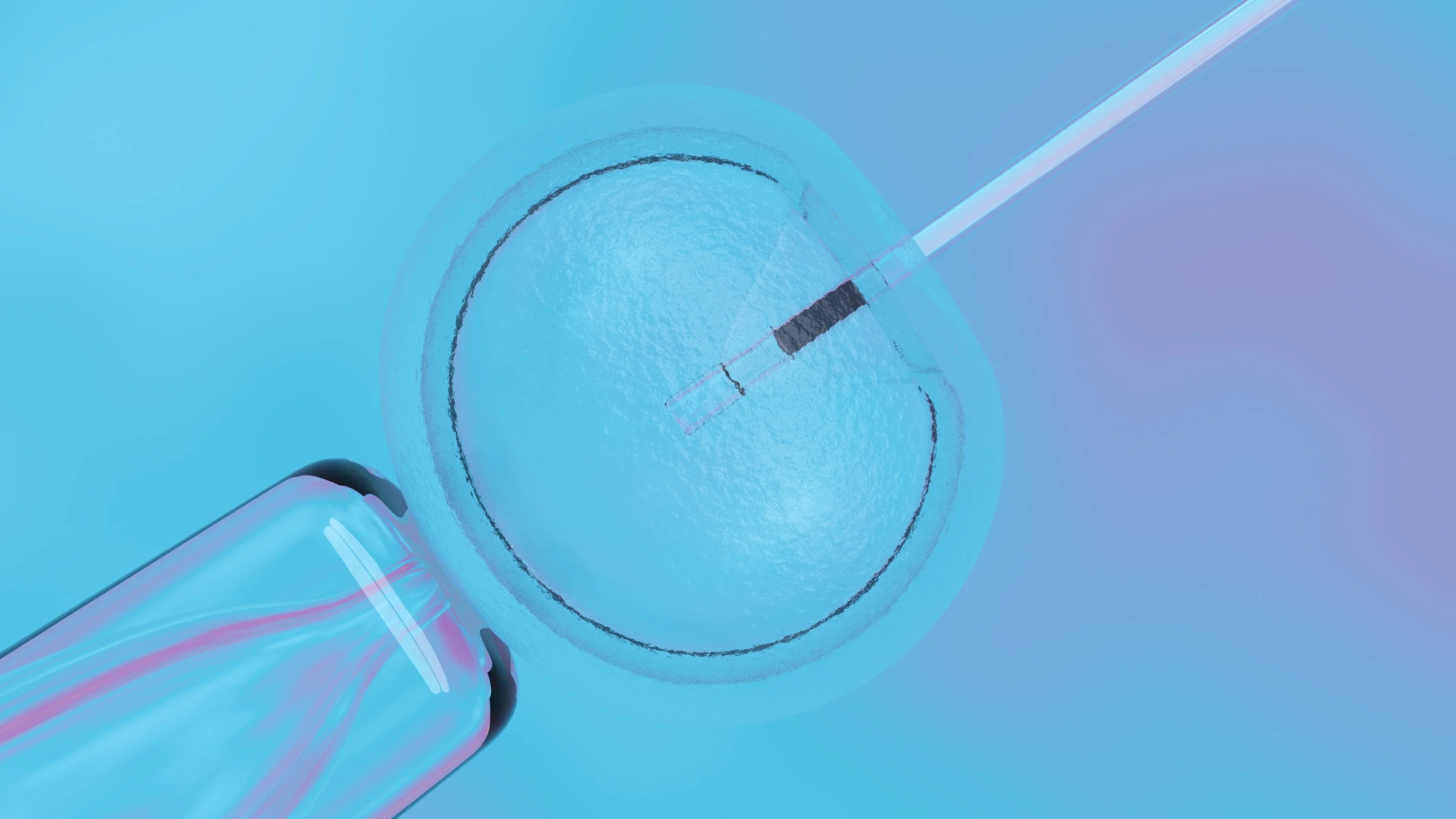 Microscope view of in vitro fertilization, blue and purple colors in the background.