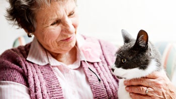 senior woman holding her cat 155069635