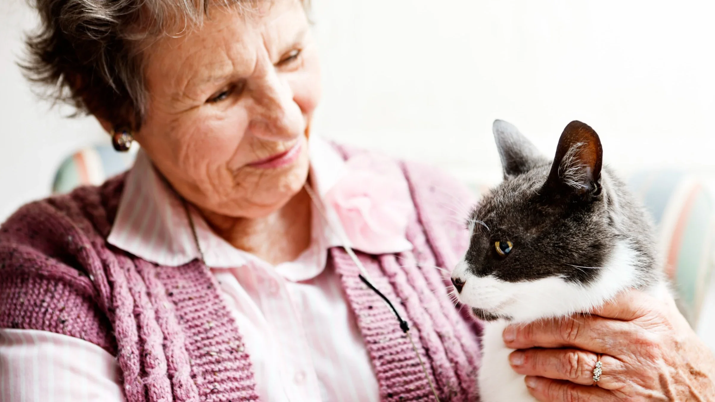 senior woman holding her cat 155069635