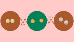 Glipizide promotes insulin release. But several medications can worsen the risk of low blood glucose if taken with glipizide. Here are seven glipizide interactions to avoid.