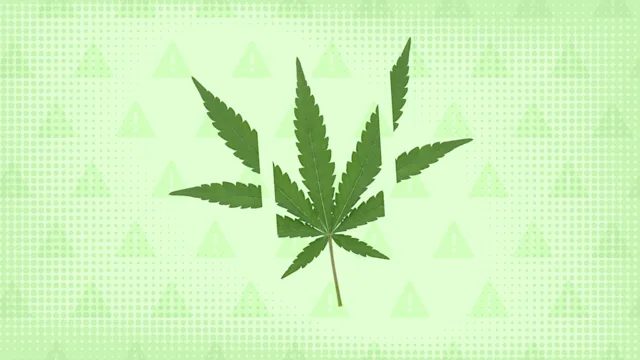 cannabinoids: side effects marijuana