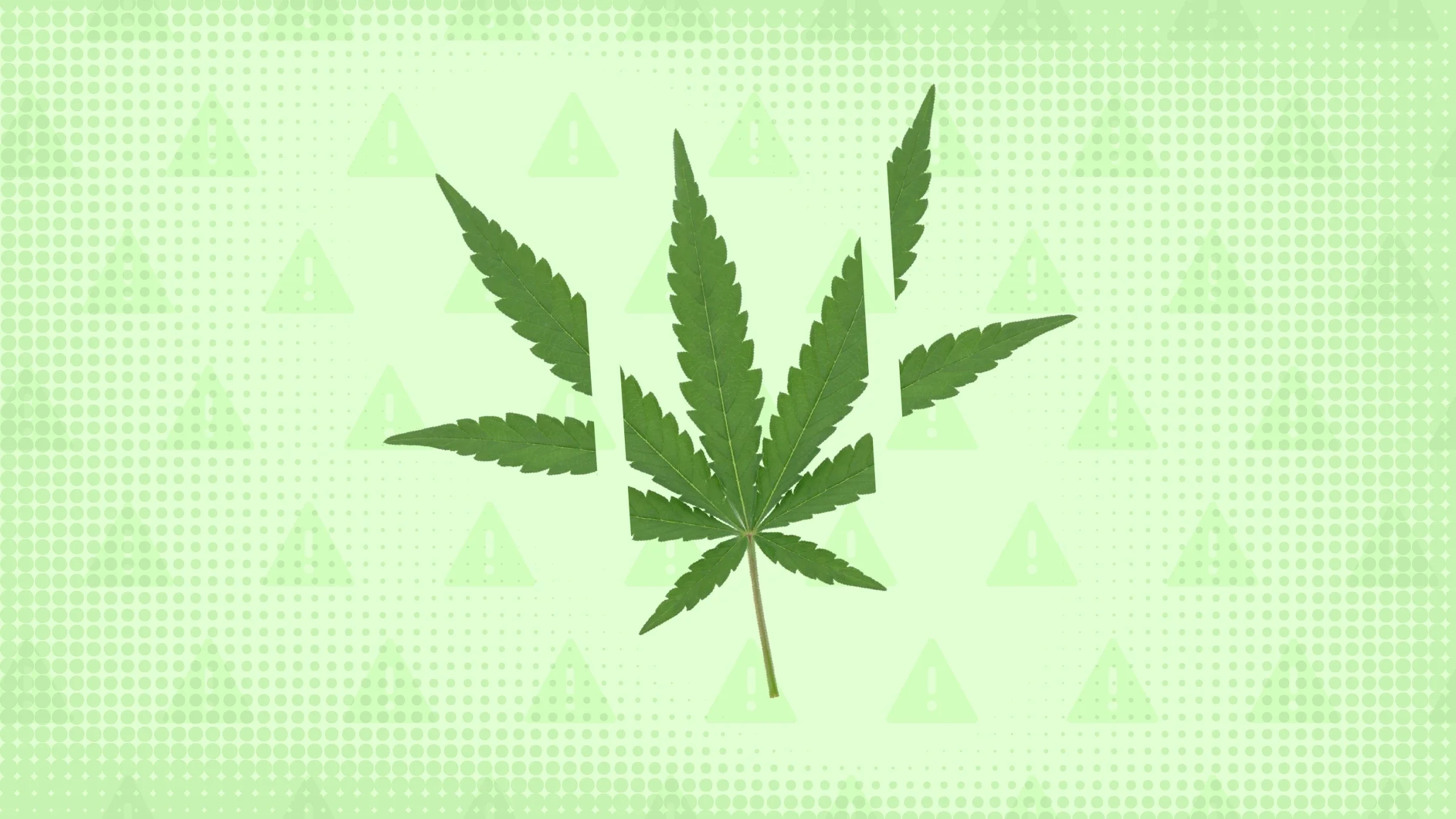 A bright green background with texture and warning sign pattern. In the center is a marijuana leaf cut into thirds.