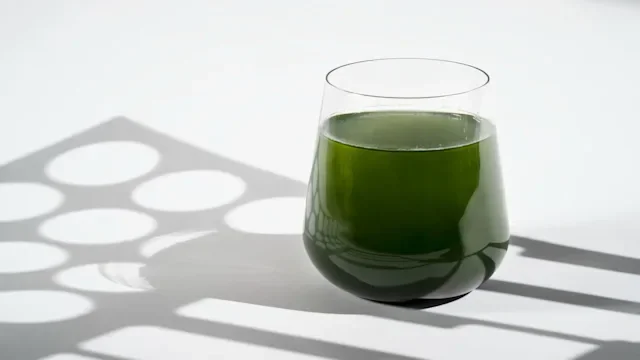 Health: Supplements & Herbs: GettyImages 1314959376