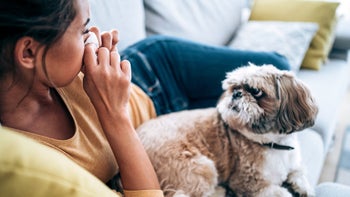 Health: Dog: woman blowing nose with dog 1336669461