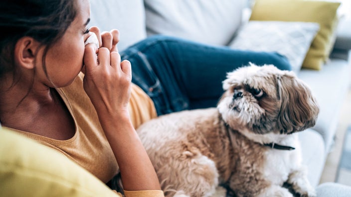 Sick woman lies down on the couch with her dog. She is blowing her nose.
