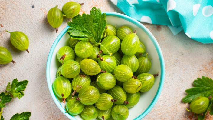 Amla: 5 Reasons Why Indian Gooseberries Are Considered a Superfood - GoodRx