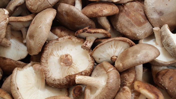 Shitake mushroom caps are shown.