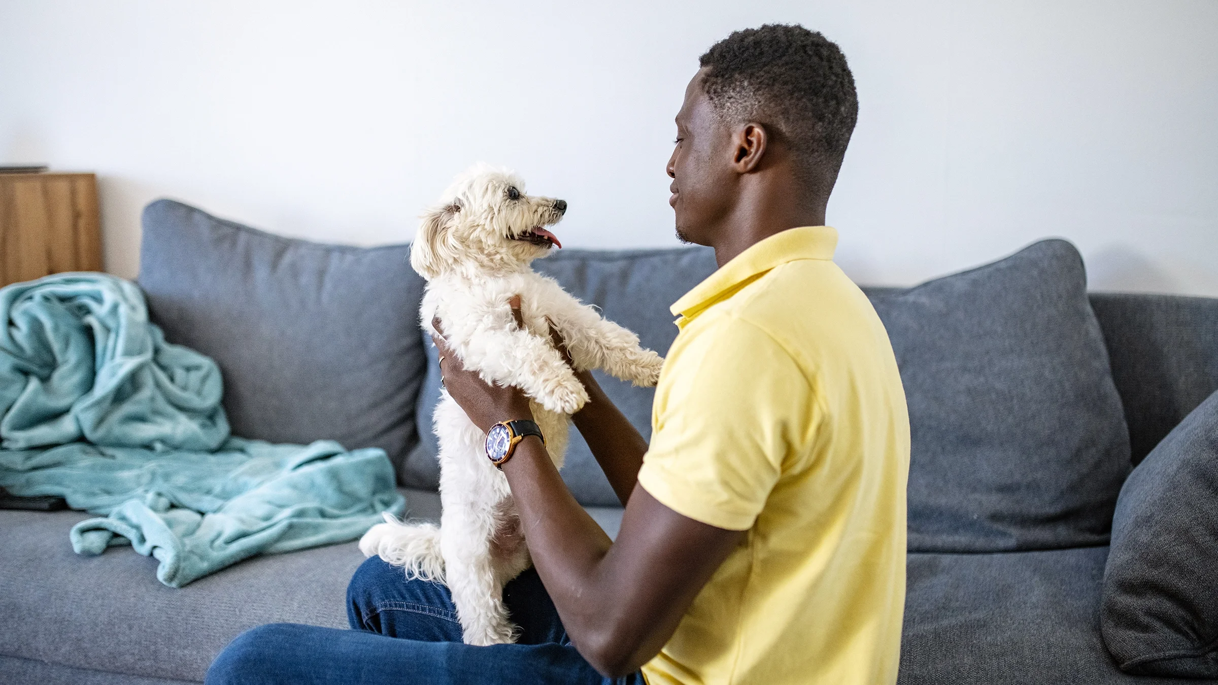 A man plays with his dog on the sofa.