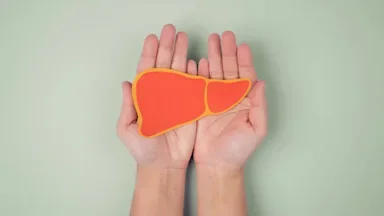 Hands holding a paper cutout of a liver on a light greenish background.
Phira Phonruewiangphing/iStock via Getty Images