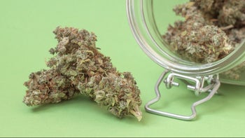 Health: Cannabis: jar of weed green background 1316764938