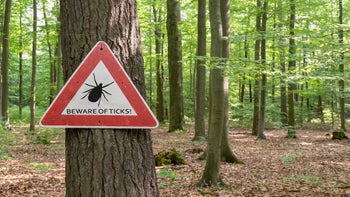 GettyImages-Lyme.jpg
