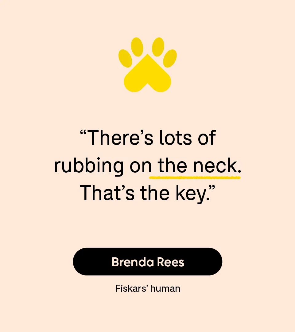 “There’s lots of rubbing on the neck. That’s the key.” — Brenda Rees