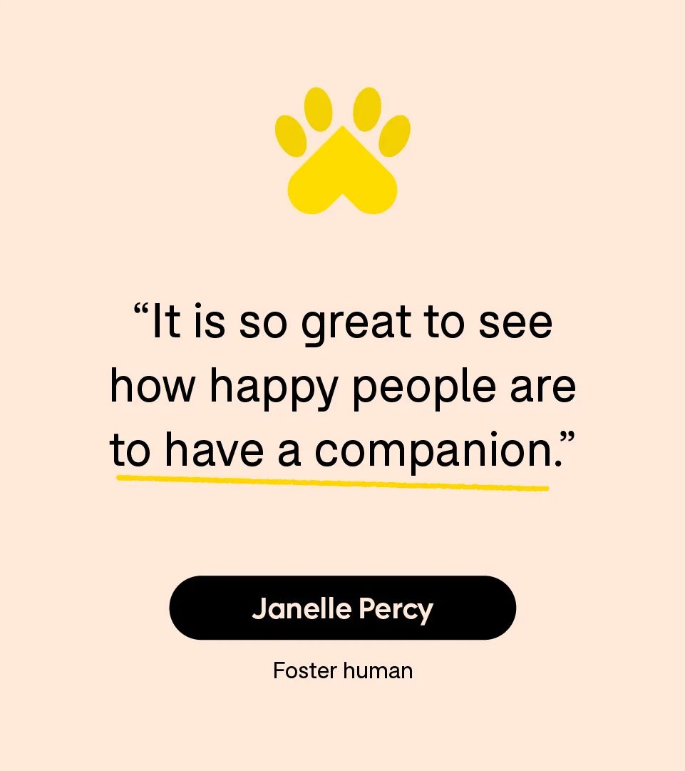 “It is so great to see how happy people are to have a companion.” — Janelle Percy