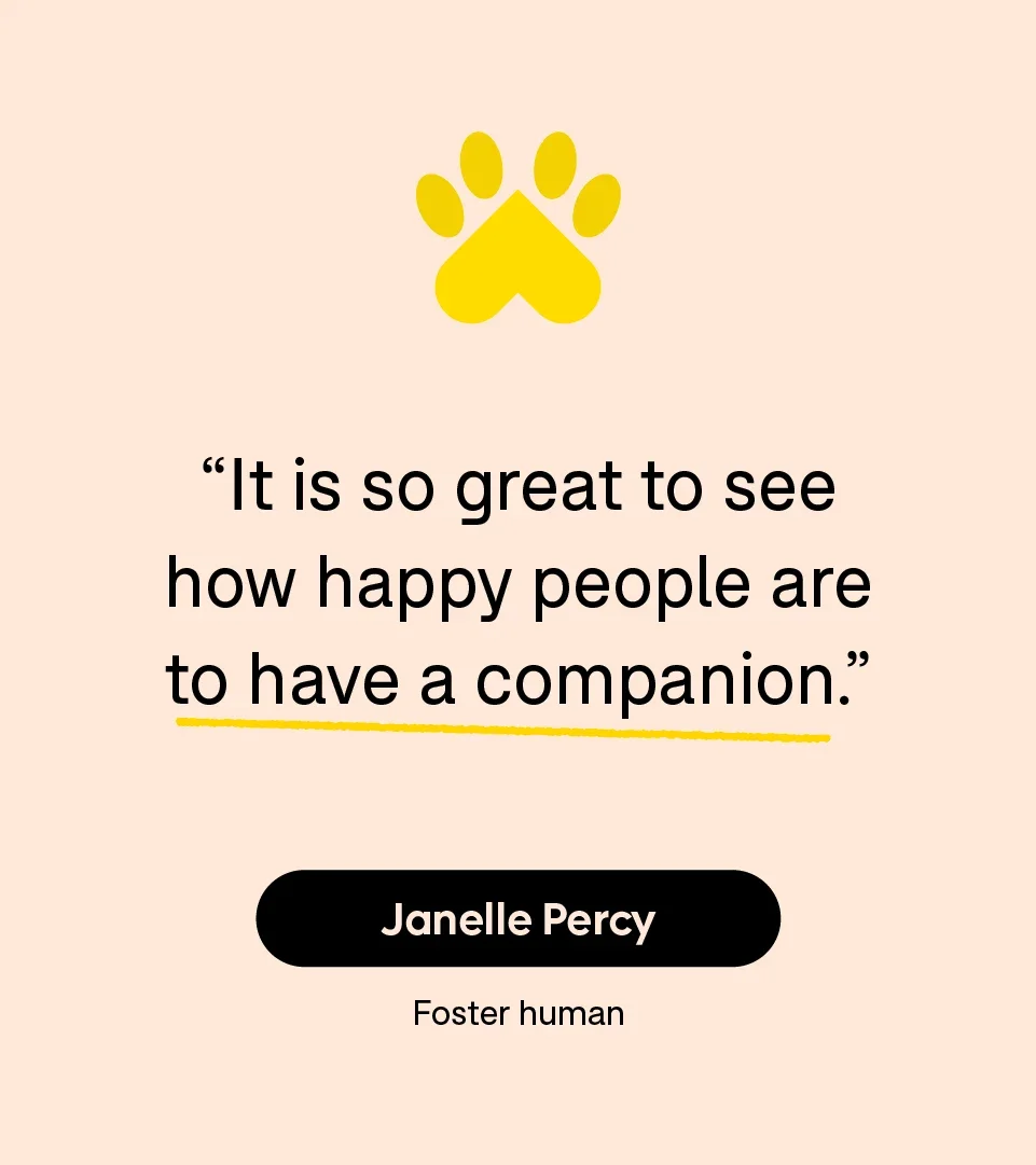 “It is so great to see how happy people are to have a companion.” — Janelle Percy