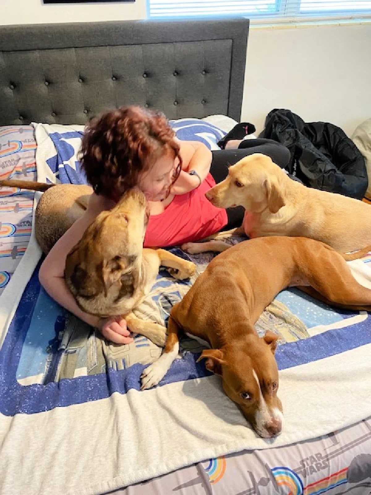 Alicia Alderson is pictured on her bed with her three dogs.