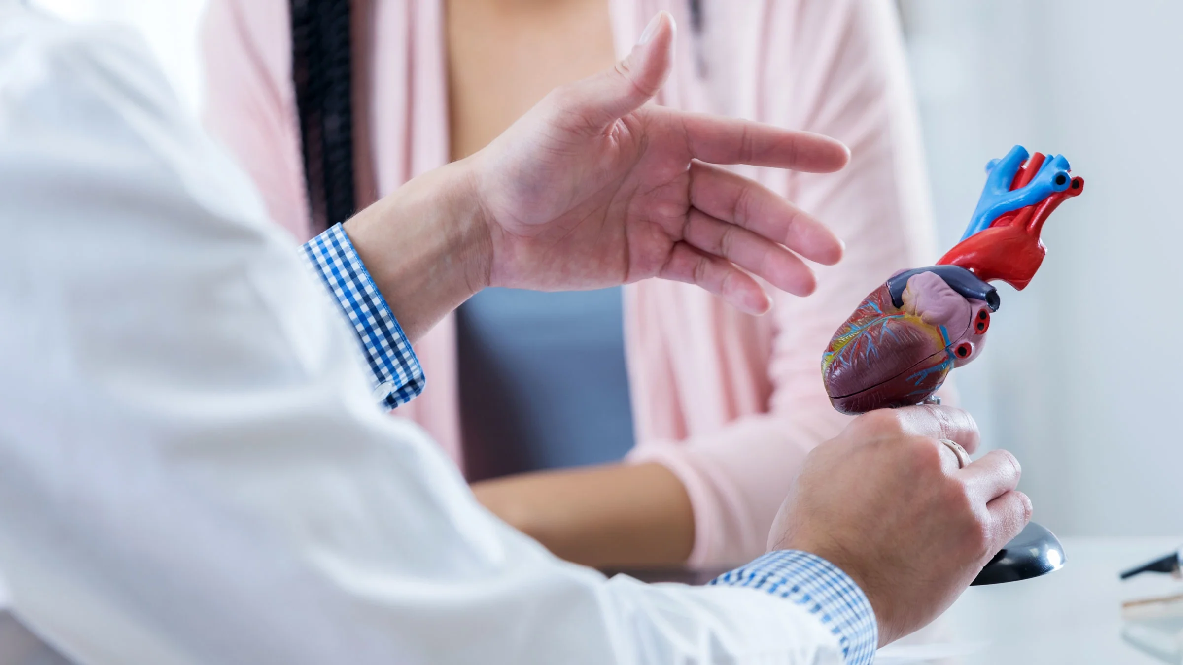 A healthcare provider is discussing a diagnosis and holding a heart model.