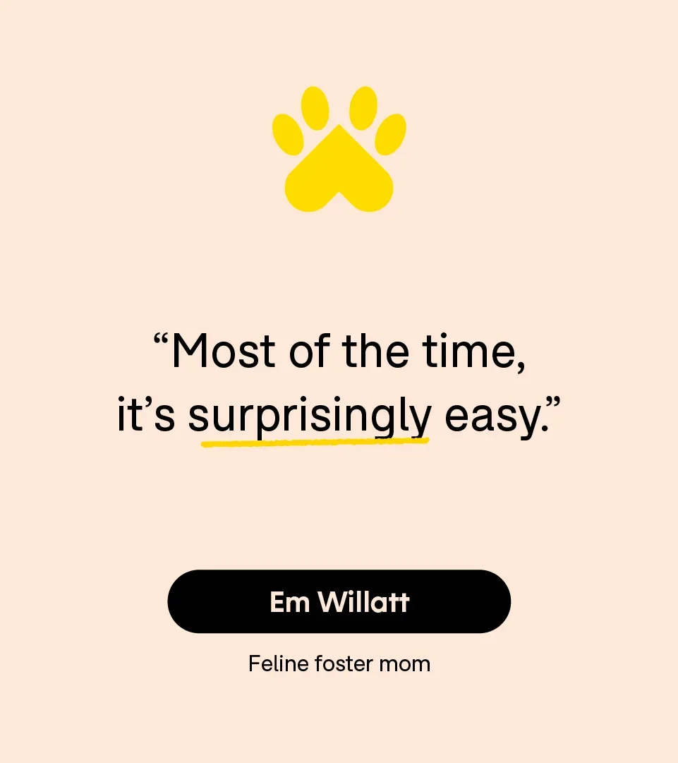 “Most of the time, it’s surprisingly easy.” — Em Willatt
