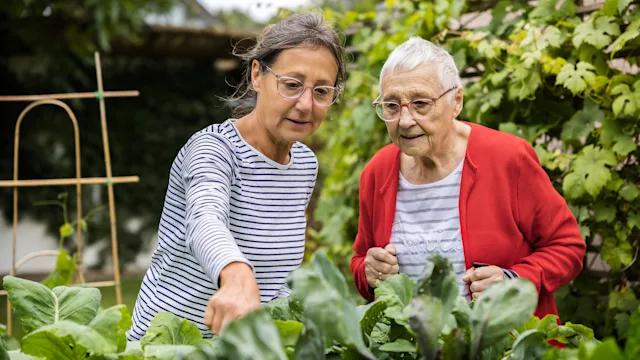 Caregiving: senior woman with caregiver in garden 1411235335