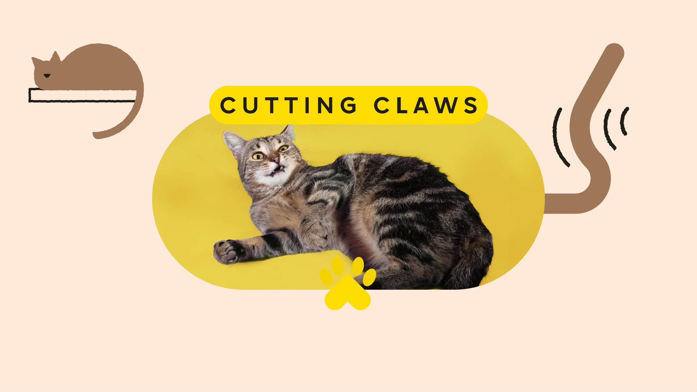 Tan background with pill-shaped photo frame around an image of a cat rolling around on a yellow background. The text above reads: “Cutting Claws.” In the top left corner is an illustration of a brown cat on a shelf. On the right side is an illustration of a brown wagging tail.