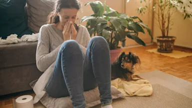Woman sitting on a pillow in front of her couch blowing her nose with toilet paper while her dog sits next to her looking at her with cute eyes.
miljko/E+ via Getty Images