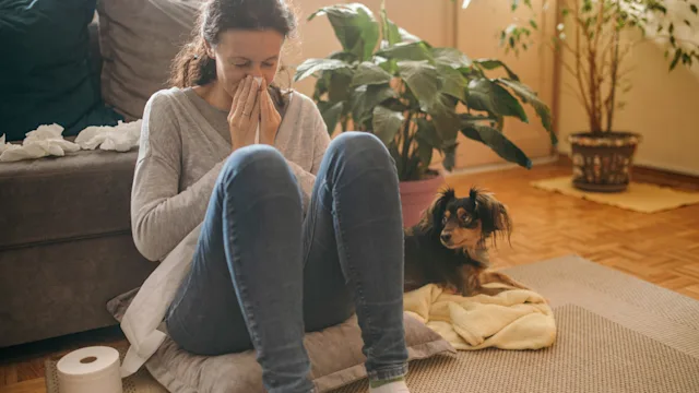 Allergic to Your Dog or Cat? These OTC Allergy Medications Can Help
