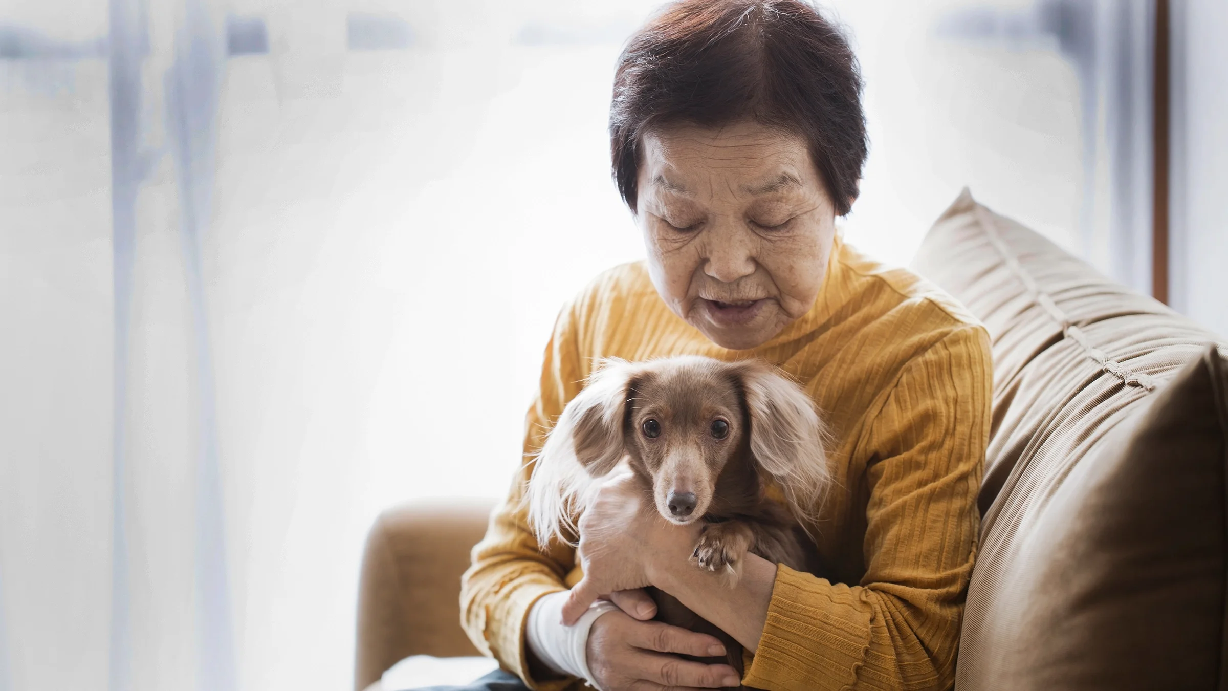 An older woman is sitting on the couch at home and holding her dog.