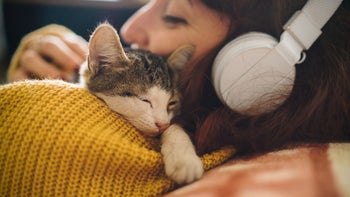 Conditions: PTSD: Triggers: listening to music and cuddling with kitty 1130126334