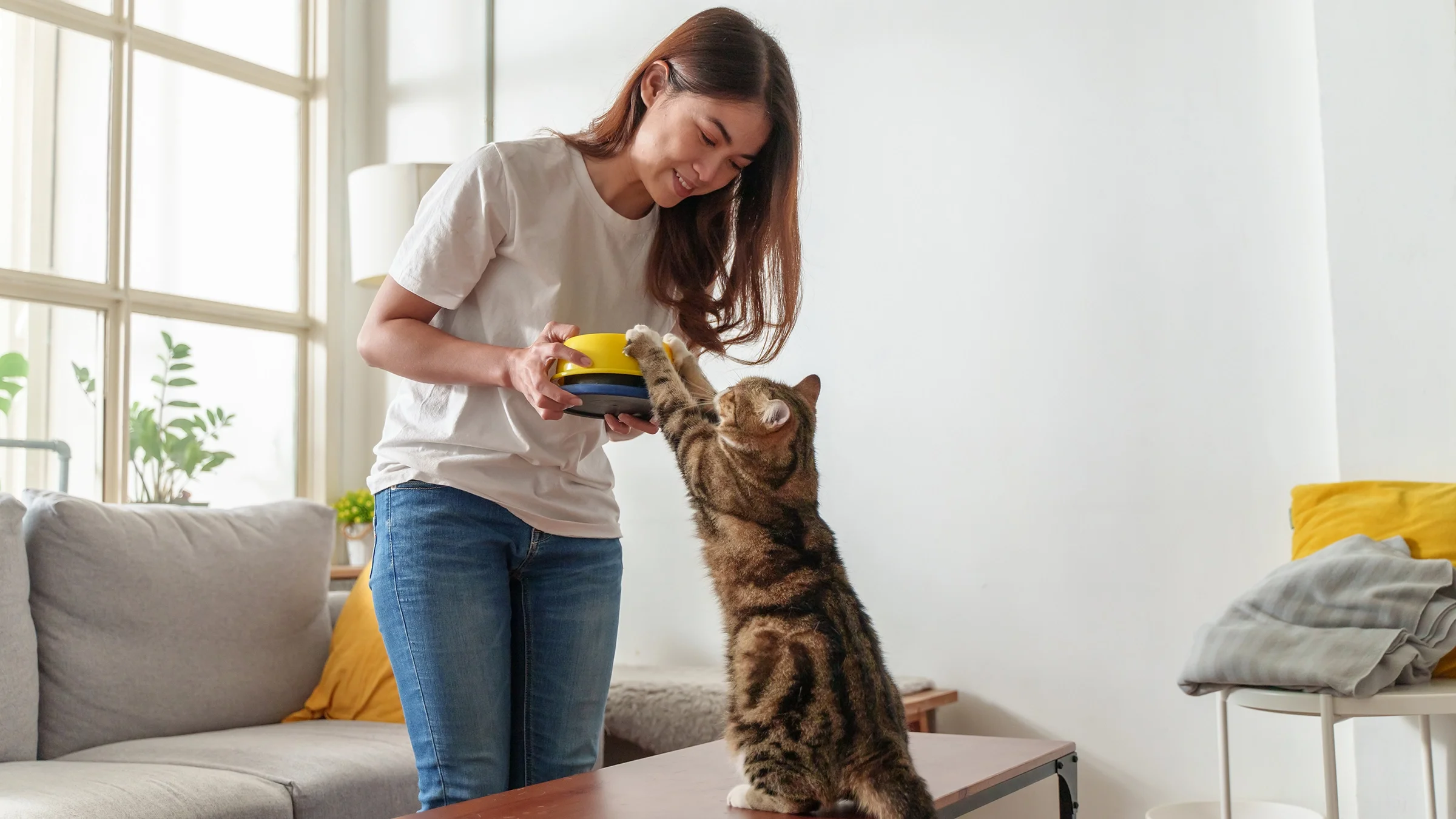 Woman feeding her cat at home.