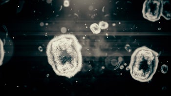 Cells: Monkeypox: monkeypox virus cellular level-1398905880