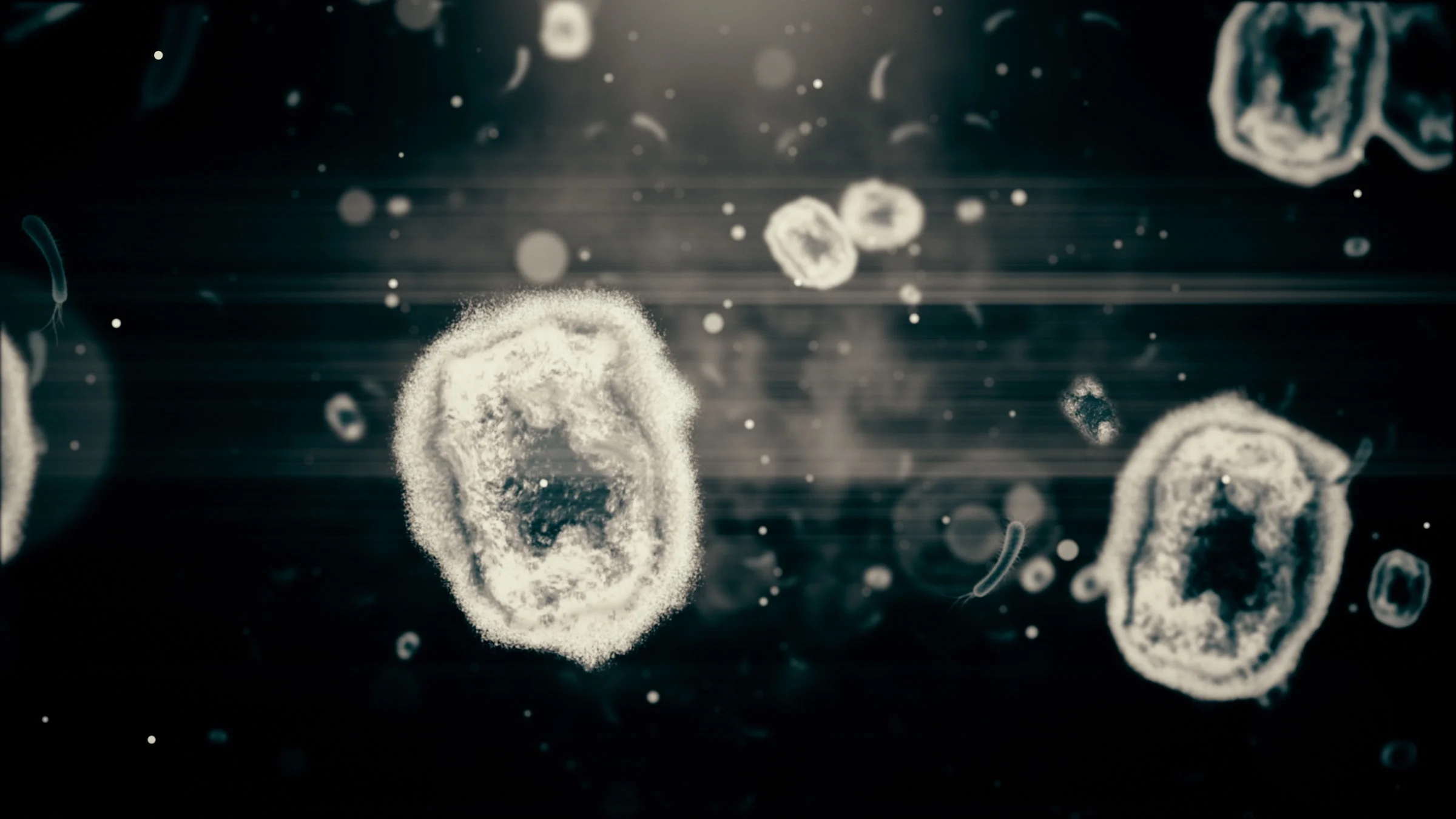 Black and white image of the monkeypox virus as the cellular level.