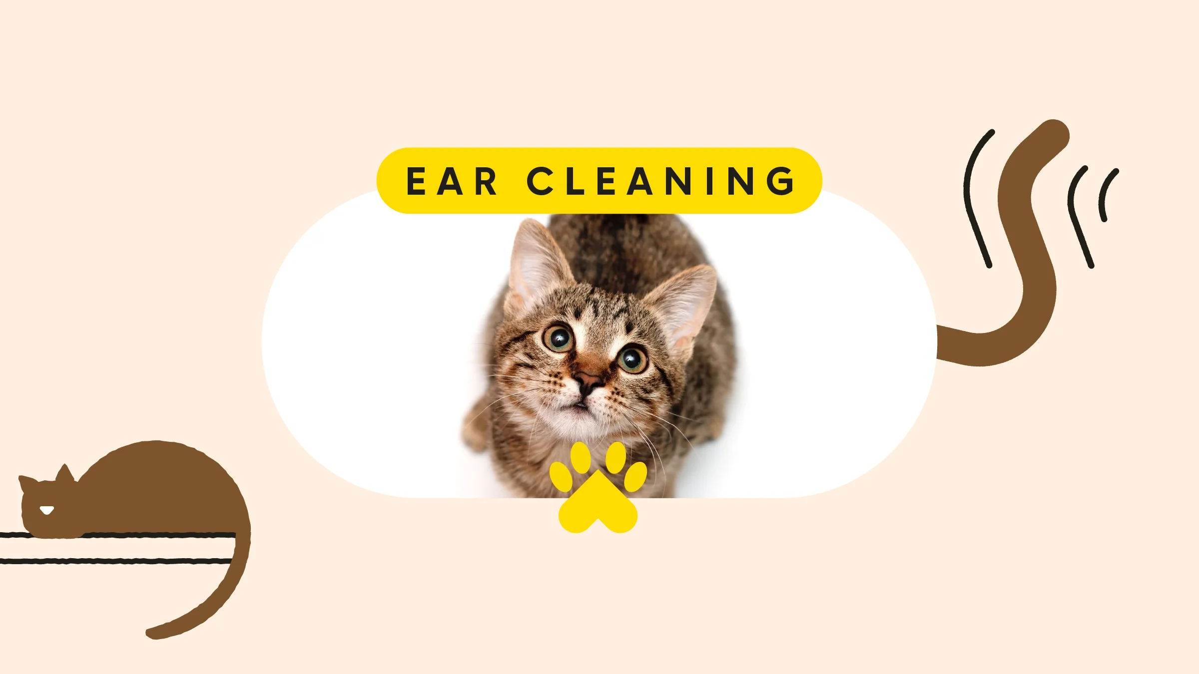Custom graphic reading “Ear Cleaning.” In the center in a pill shaped frame is a studio photo of a brown cat. On either side of the image is cat illustrations. 