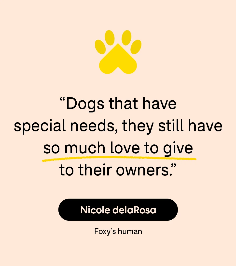 “Dogs that have special needs, they still have so much love to give to their owners.” — Nicole delaRosa