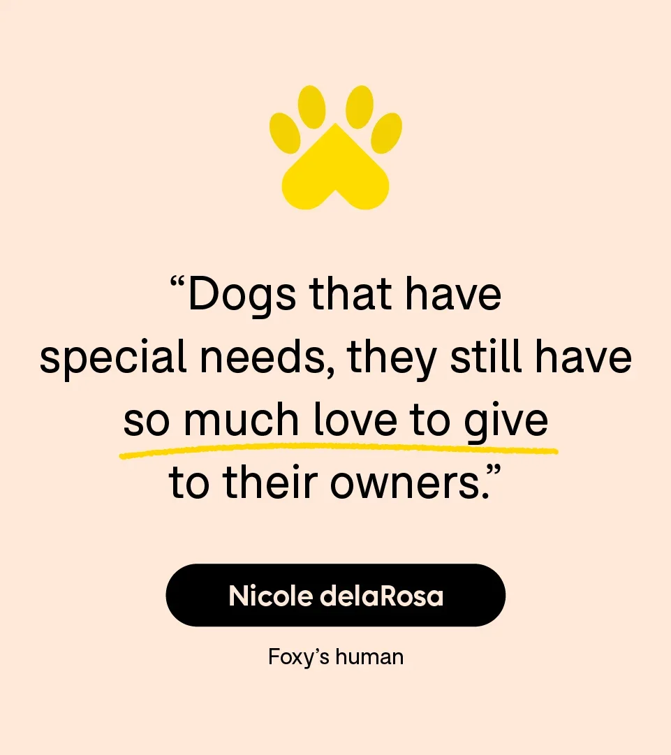 “Dogs that have special needs, they still have so much love to give to their owners.” — Nicole delaRosa
